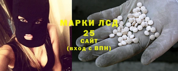 прущие грибы Баксан