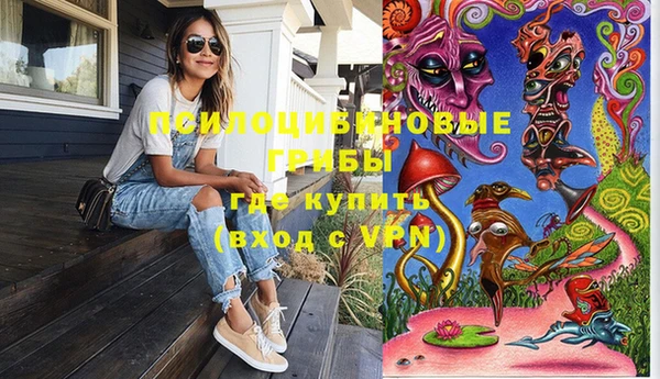 прущие грибы Баксан