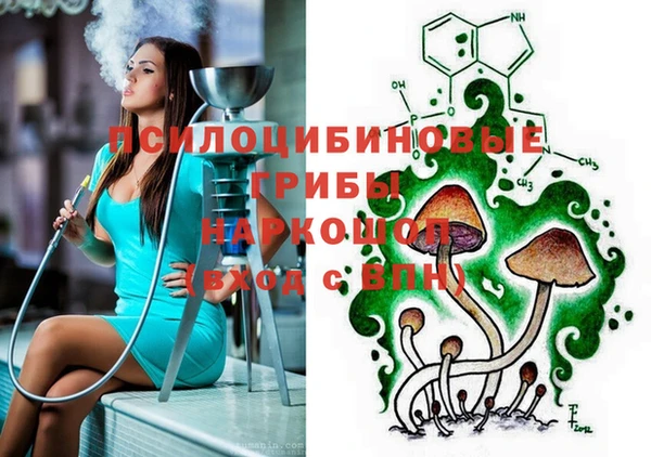 apvp Россошь