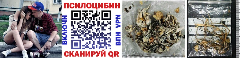 Псилоцибиновые грибы MAGIC MUSHROOMS  закладки  Мончегорск 